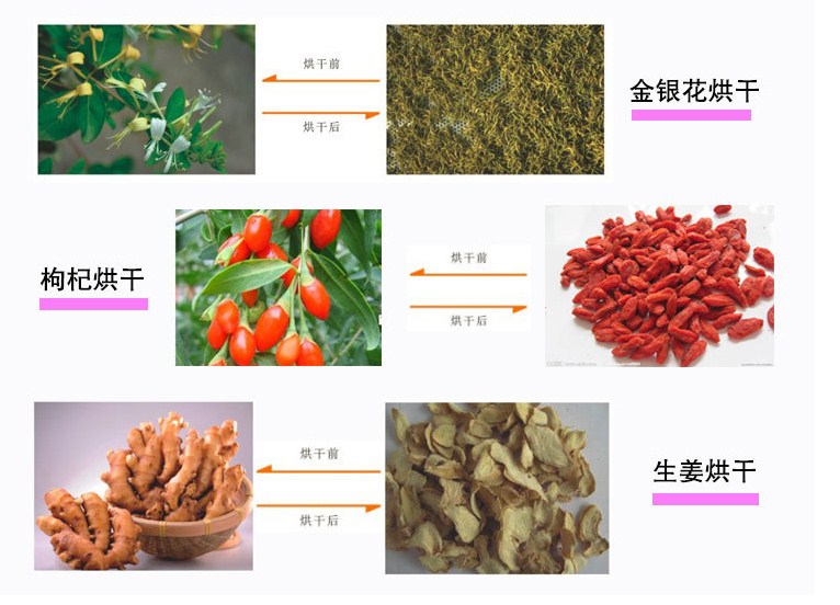 恒諾烘干知識：影響中藥材烘干質(zhì)量的因素